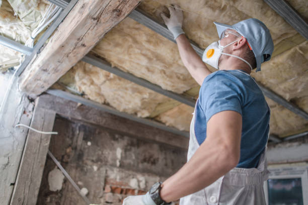 Best Home Insulation Services  in Apex, NC