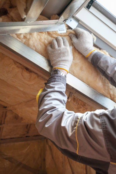 Best Spray Foam Insulation  in Apex, NC