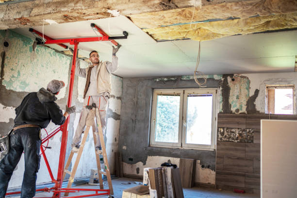 Best Cellulose Insulation  in Apex, NC