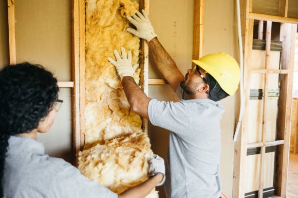 Professional Insulation Contractor in Apex, NC