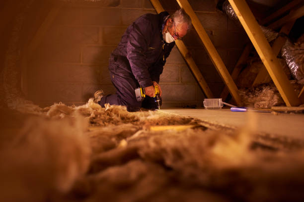 Best Insulation Contractor Near Me  in Apex, NC